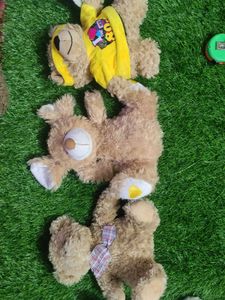 Teddy Combo