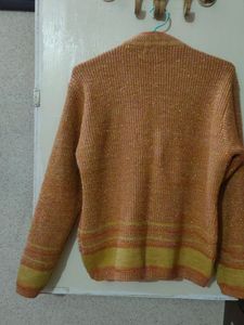 Cardigan (Winter Wear)