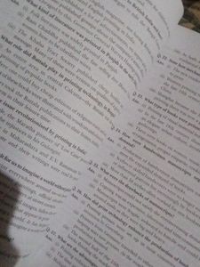 XAM IDEA SOCIAL SCIENCE CLASS 10