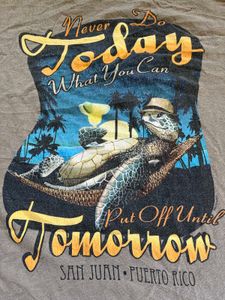 San Juan Turtle Graphic Tee