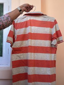 Striped Polo Shirt
