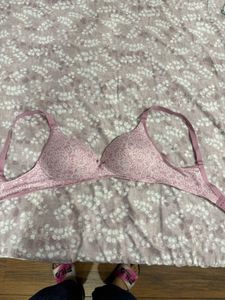 Enamor Padded Non Wired Bra