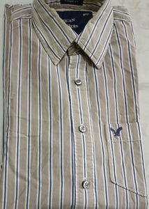 Striped American Eagle Shirt