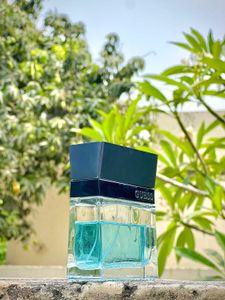 Guess Brand New Perfume