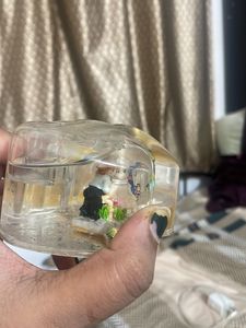 Pen Stand Or A Show Peice