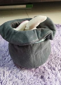 Magical Bunny