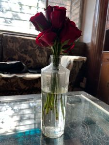 Glass Flower Vase