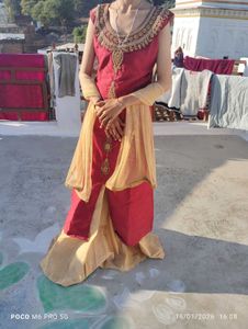 Elegant Ethnic Dress