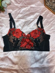 Elegant Black &amp; Red Embroidered Bra💥