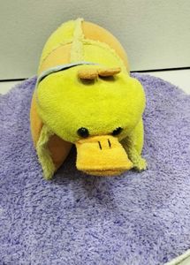 Pillow Cum Toy For Kids