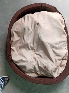 Dog&#39;s Bed