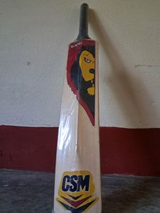 Small Cricket Bat