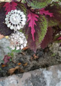 Elegant Jhumka Earrings