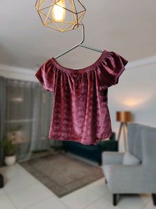 People Brand Velvet Top (Rarely Used)