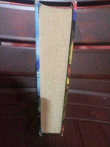 Cat O&#39;Nine Tails by Julia Golding