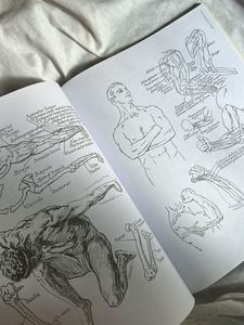 Anatomy Book