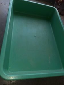 Cats OR Puppies Litter Combo With FREEBIES
