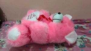 Pink Teddy Bear - &#34;For Someone Special&#34;