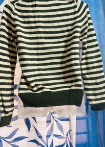 Winter Sweatshirt