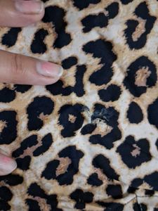Leopard Print Button-Down Top