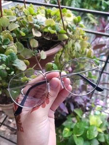 Transparent Glasses