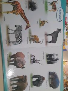 Vikas Board Book-Navneet-wild Animals