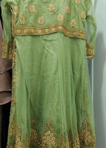 Elegant Ethnic Gown