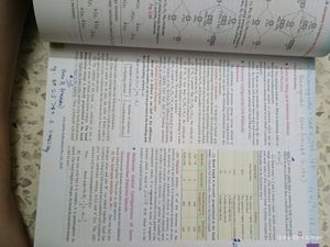 Inorganic Chemistry Jee Main &amp; Adv OP Tandon