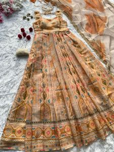 Elegant Anarkali