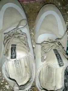 Comfortable Gray Everyday Sneakers