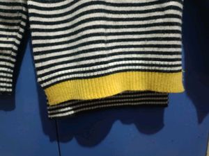 Striped Turtleneck Sweater