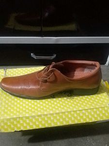 Good Condition Shoes