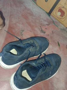Navy Blue Mesh Sneakers