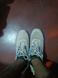 Campus White Sneakers
