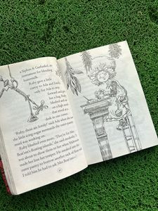 Fictional Book With Pictures