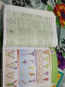 Combo Of MTG NCERT FINGERTIPS BIOLOGY &amp; CHEMISTRY