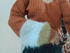 Brown Furr Sleeves Top