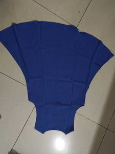 Blue Sleeveless Dress