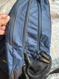 Wildcraft solid 45L laptop bag