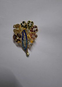 Brooches Pin