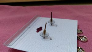 Earings