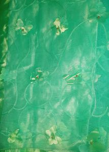 Net Butterfly Saree