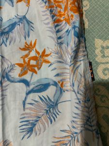 Combo Of 2 Men Shirts