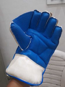 Cricket Wicket Keeping Glove