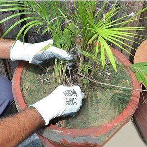 Safety Gloves