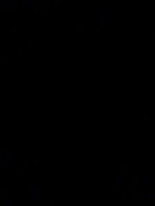 Black Cotton Fabric