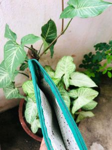 Handcrafted Green Bandhani Print Purse