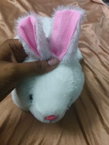 Rabbit Pluffy