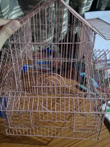 Bird Cage
