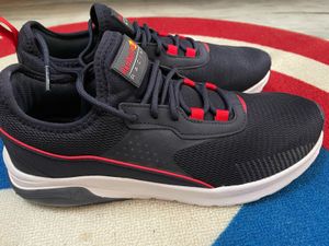 Brand New Puma Red Bull Edition Shoes